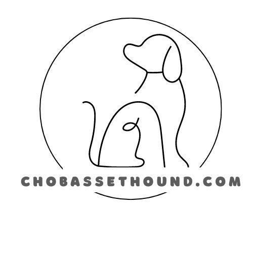 chobassethound.com